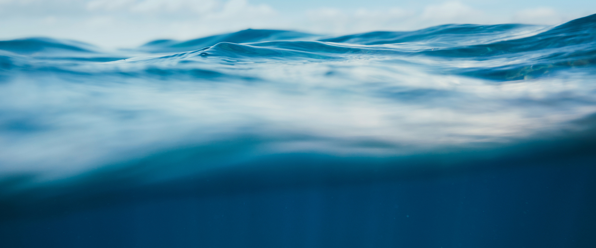 可持续发展概览